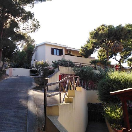 Villa Panoramica Immersa Nel Verde Porto Pino Exteriér fotografie
